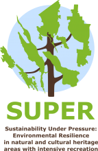 SUPER project logo